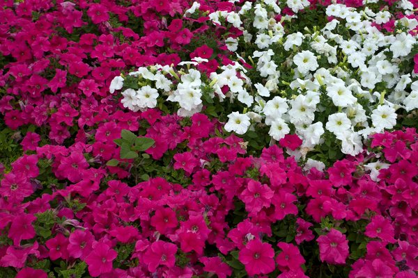 Discovering leeds: the definitive guide to identifying tech infrastructure growth prospects